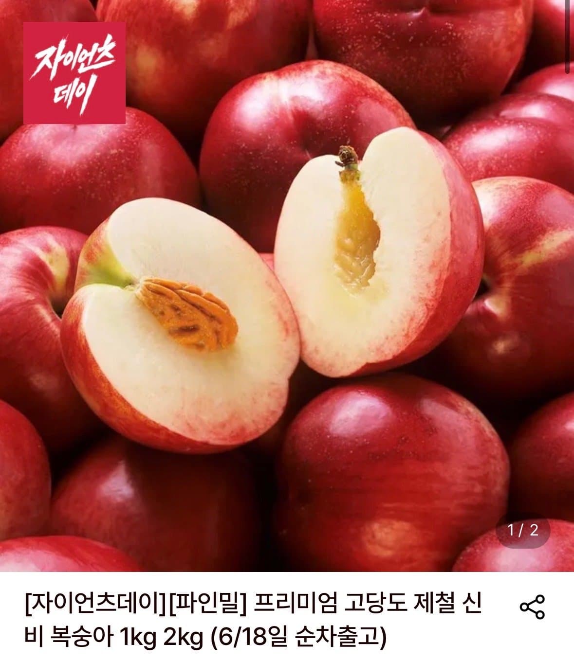 파인밀 신비 복숭아 2kg