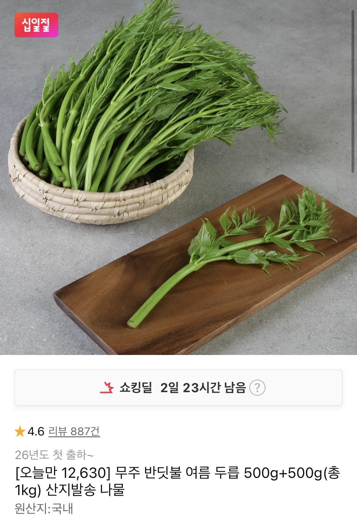 무주 반딧불 두릅 1kg