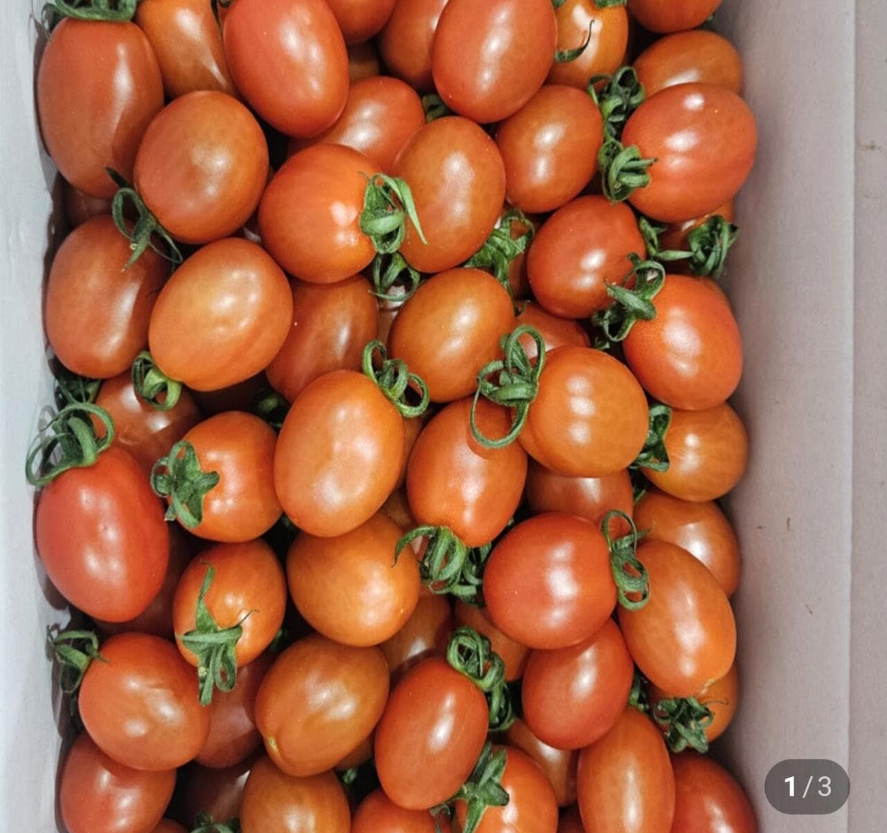 대추방울토마토 5kg