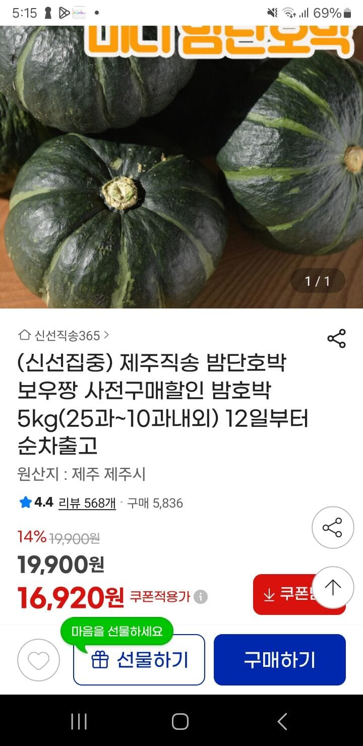 제주 밤단호박 5kg