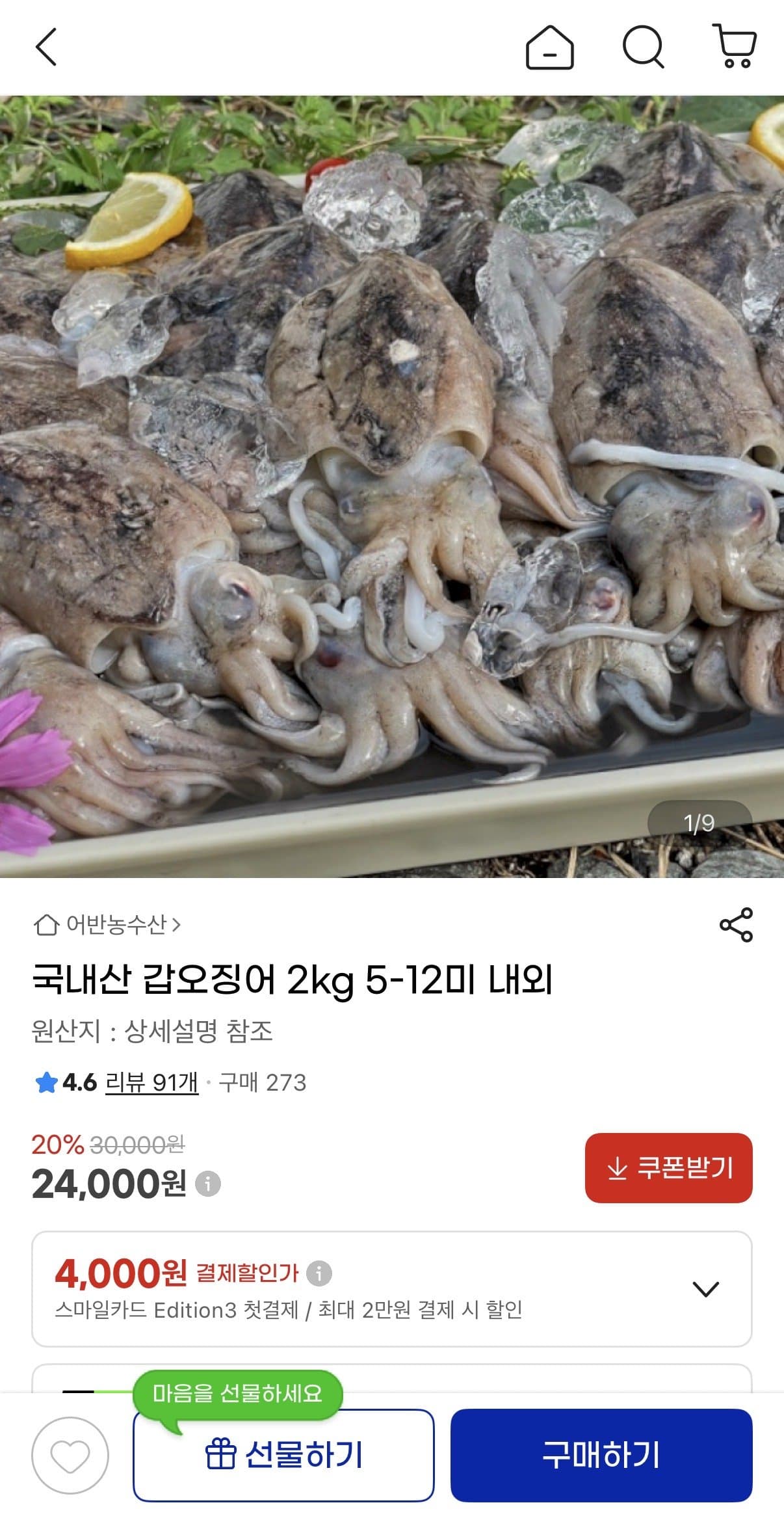 국내산 갑오징어 2kg