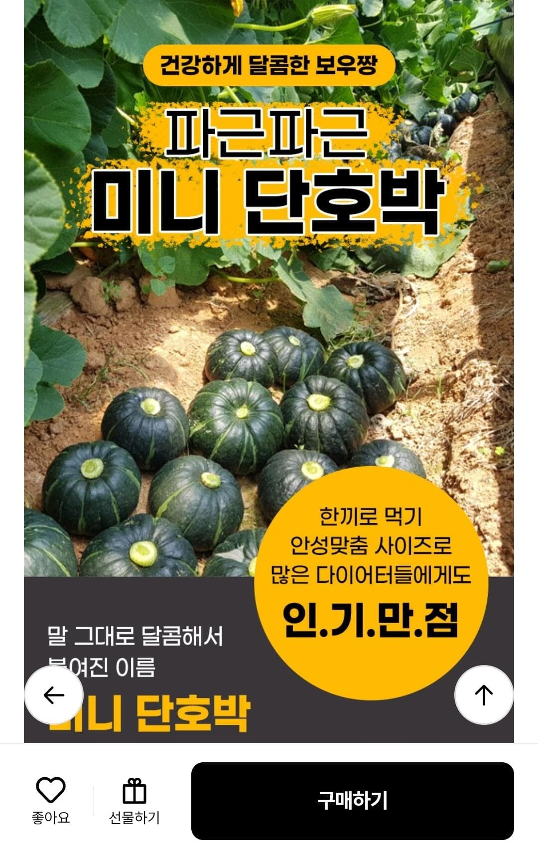 제주 미니단호박 3kg