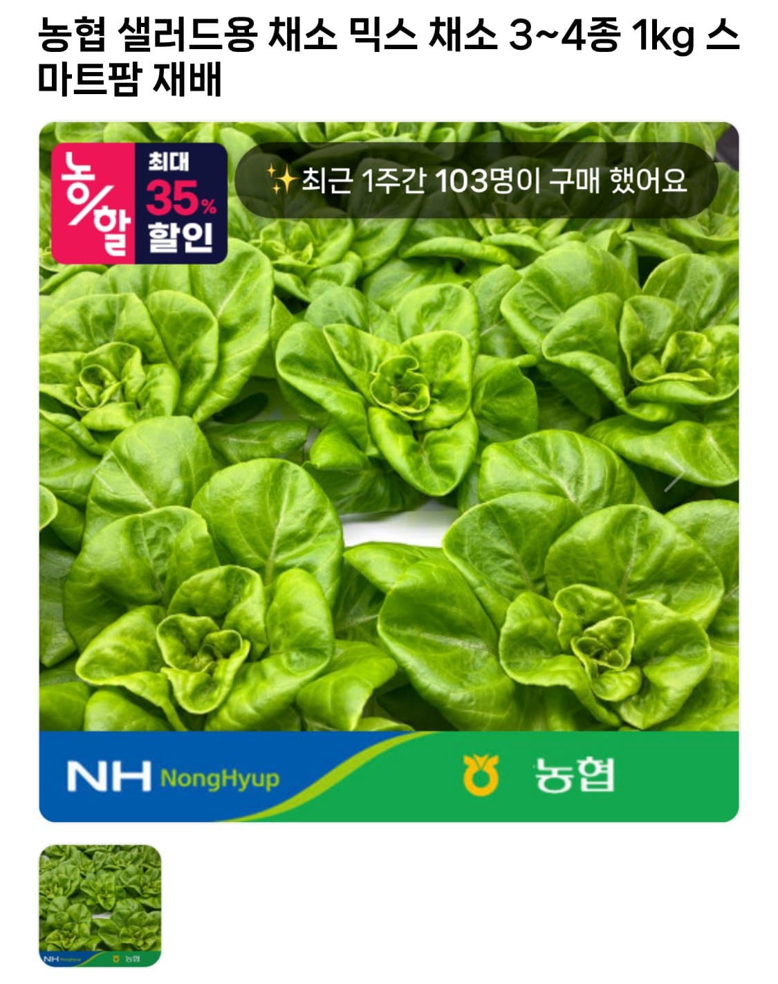 농협 샐러드용 채소 믹스 1kg