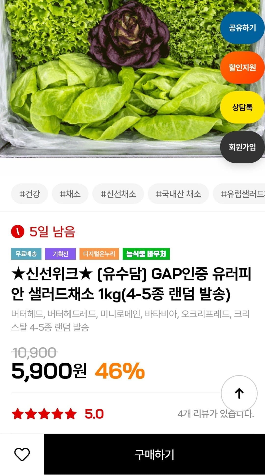 유러피안 샐러드채소 1kg