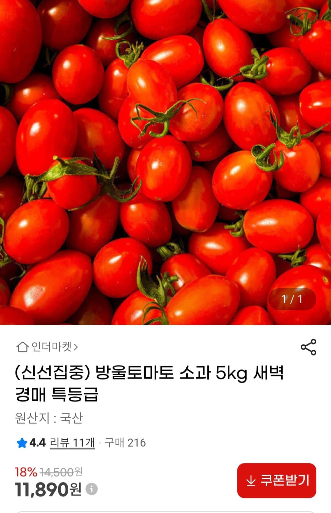 방울토마토 소과 5kg