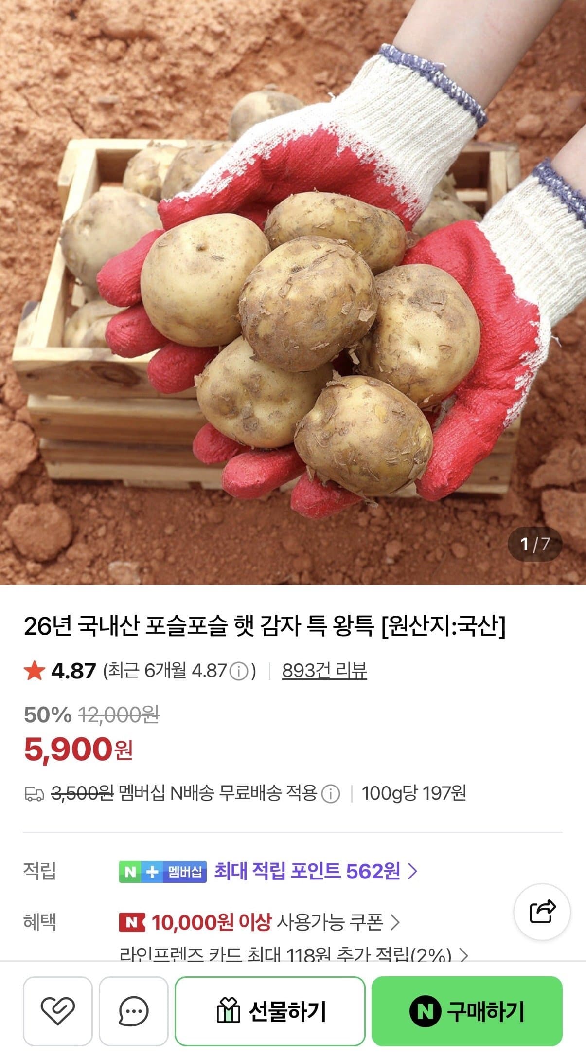 국내산 햇 감자 왕특 3kg