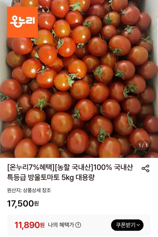 국내산 방울토마토 5kg