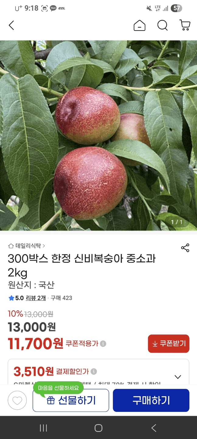 신비복숭아 중소과 2kg