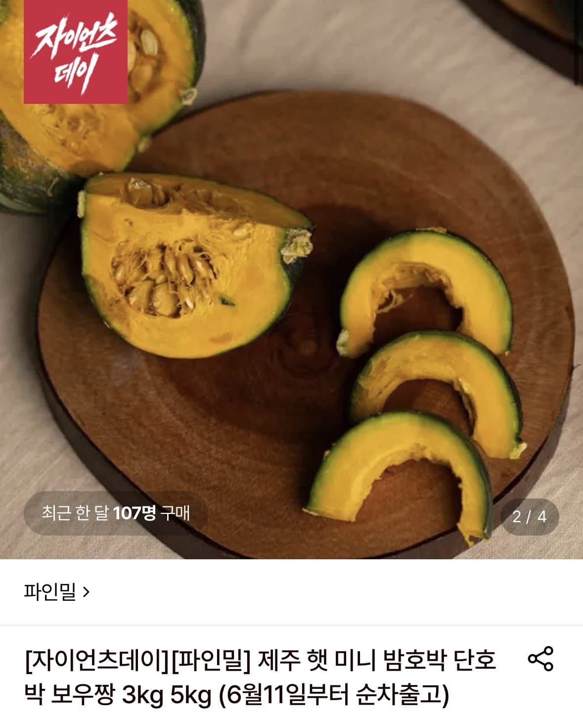 제주 미니 밤호박 5kg