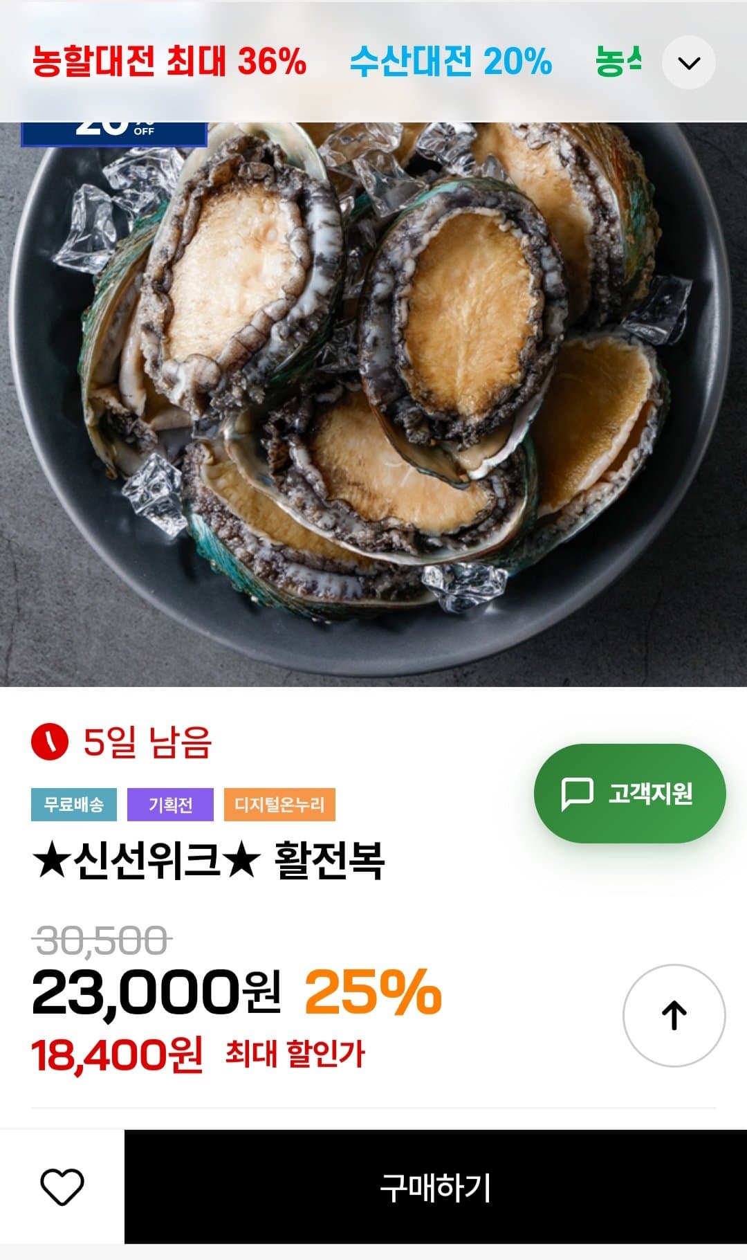 활전복 대사이즈 1kg
