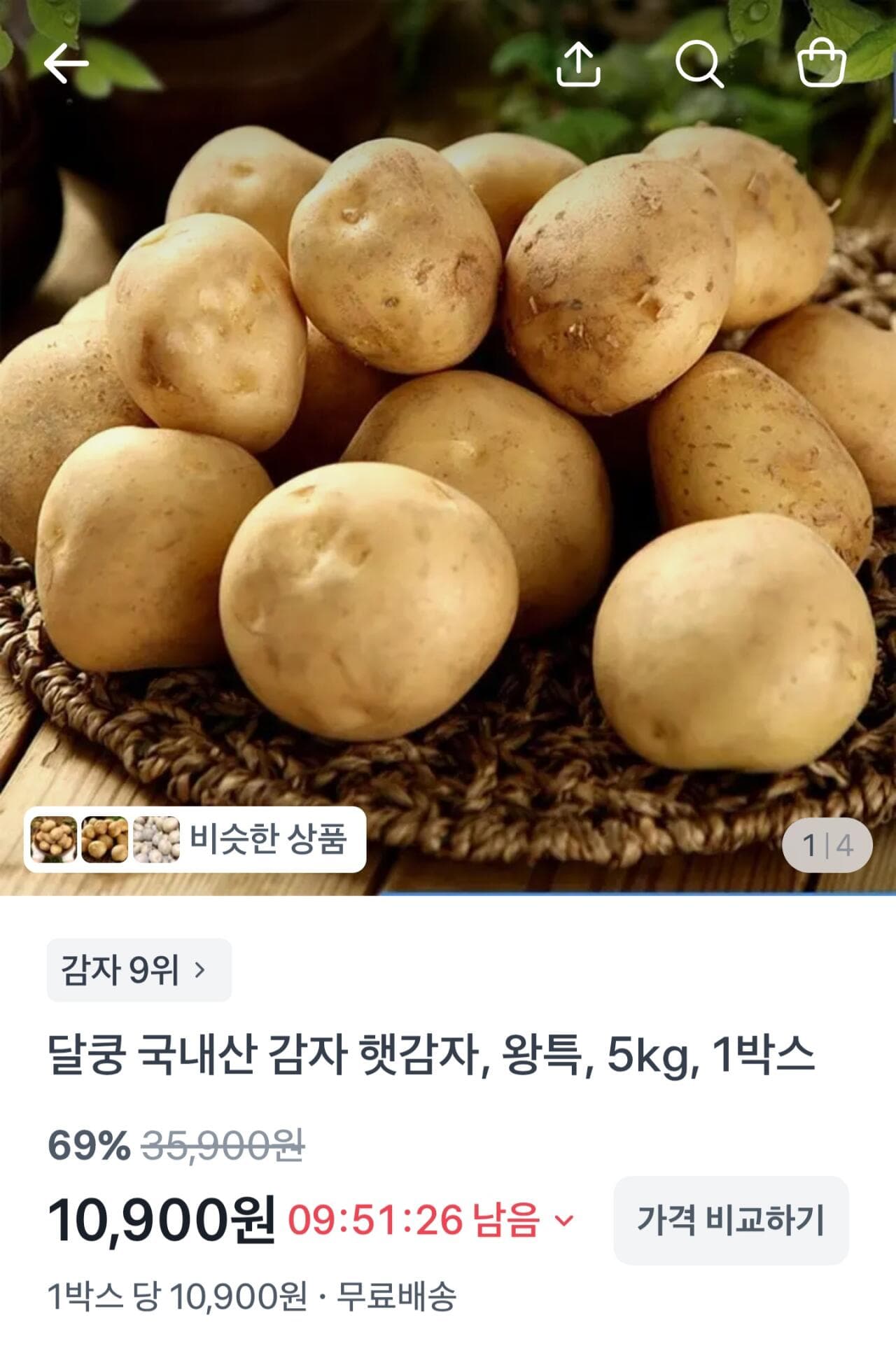 햇감자 5kg 왕특