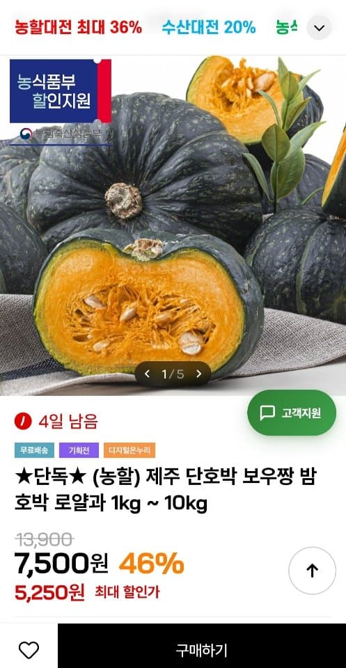 제주 단호박 보우짱 밤호박 1kg