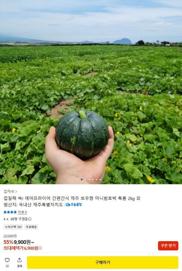 보우짱 미니밤호박 2kg