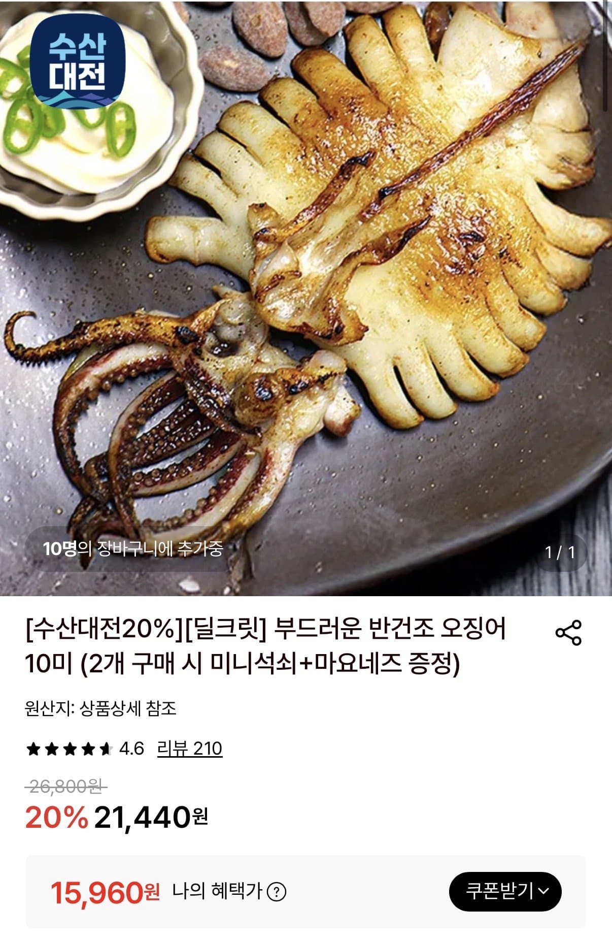 반건조 오징어 10미