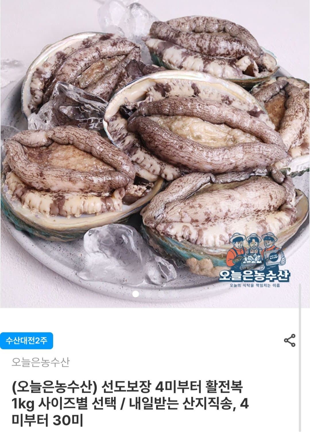 국산 활 전복 1KG