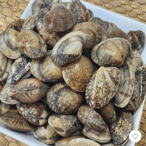 국내산 활 바지락 1kg 2팩