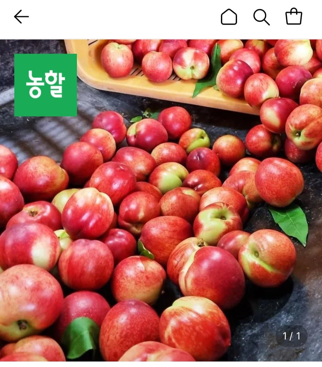 천도 신비복숭아 3kg