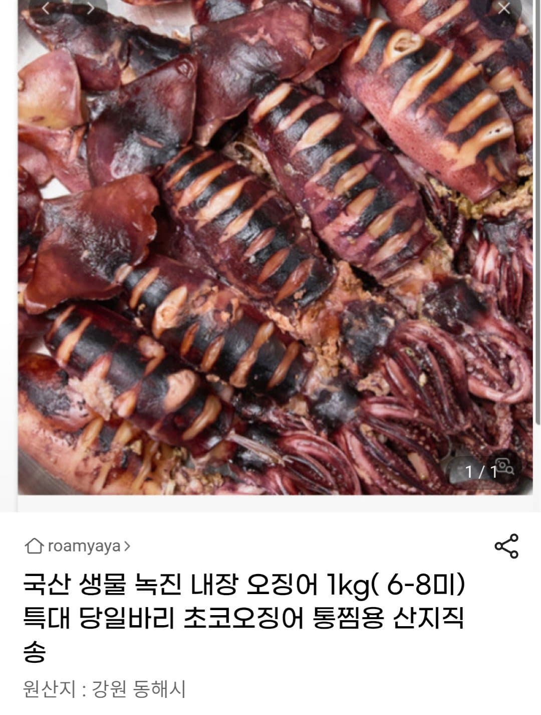국산 생물 녹진 내장 오징어