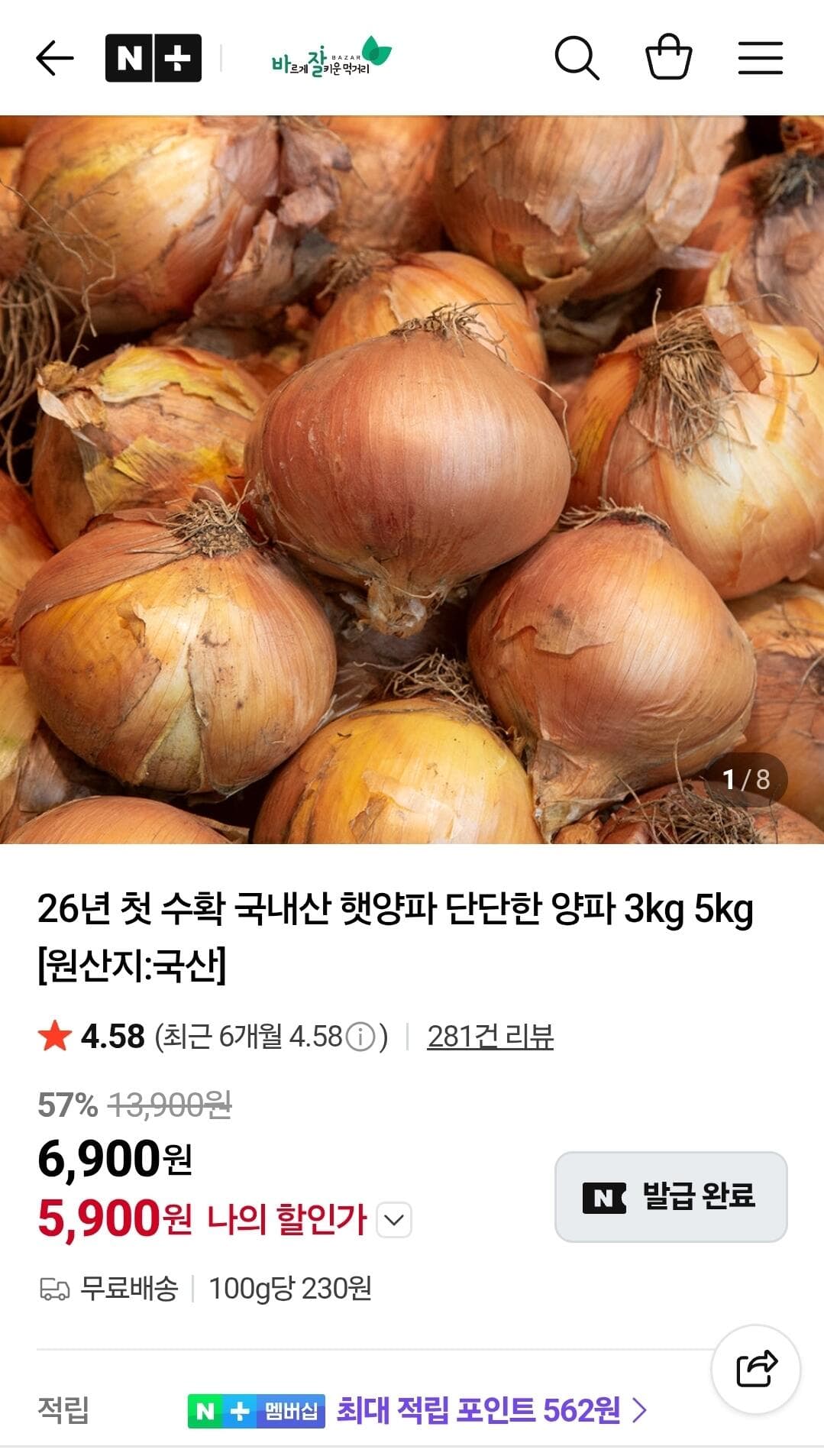 국내산 햇양파 5kg
