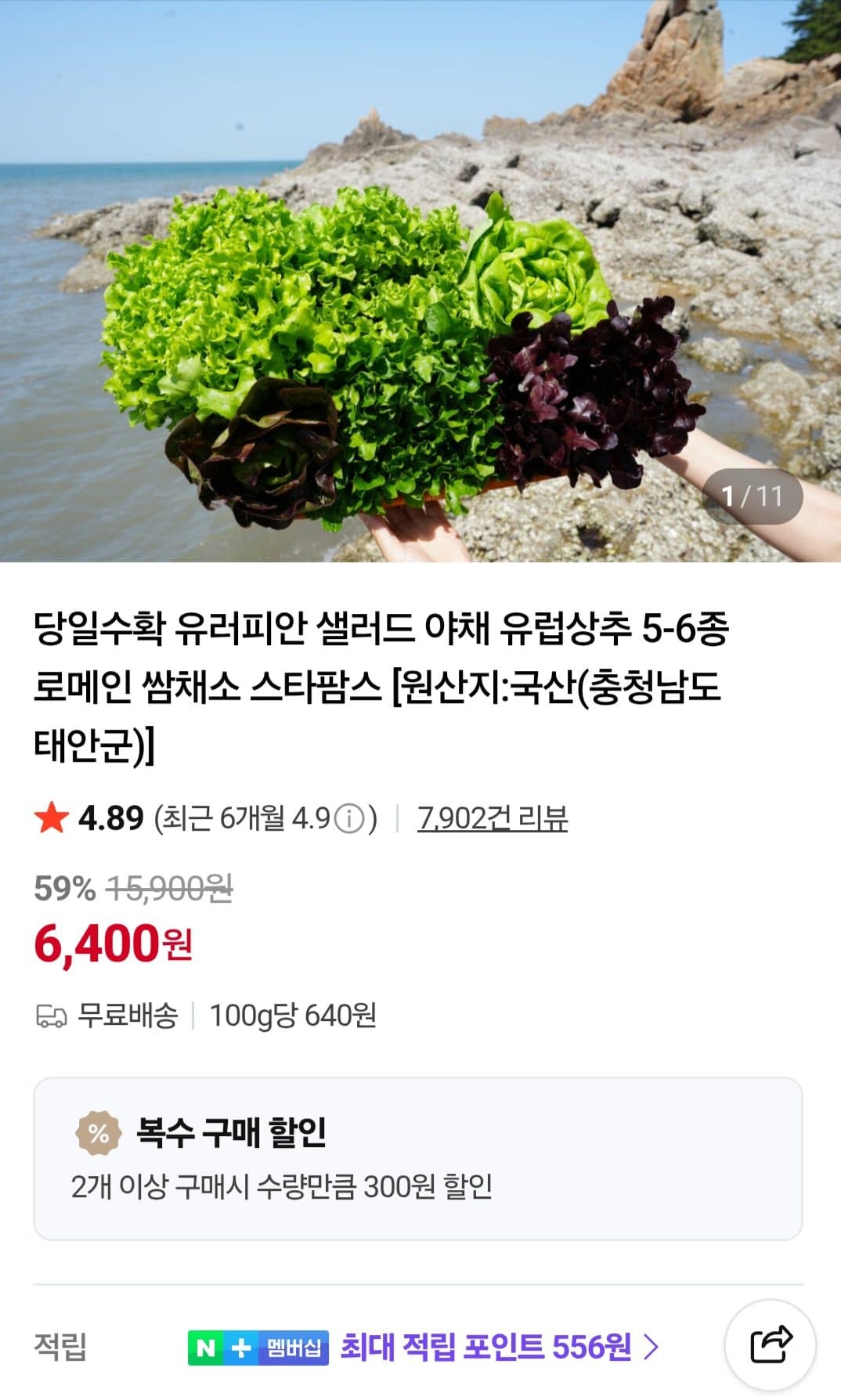 스타팜스 유러피안 샐러드 채소 1kg