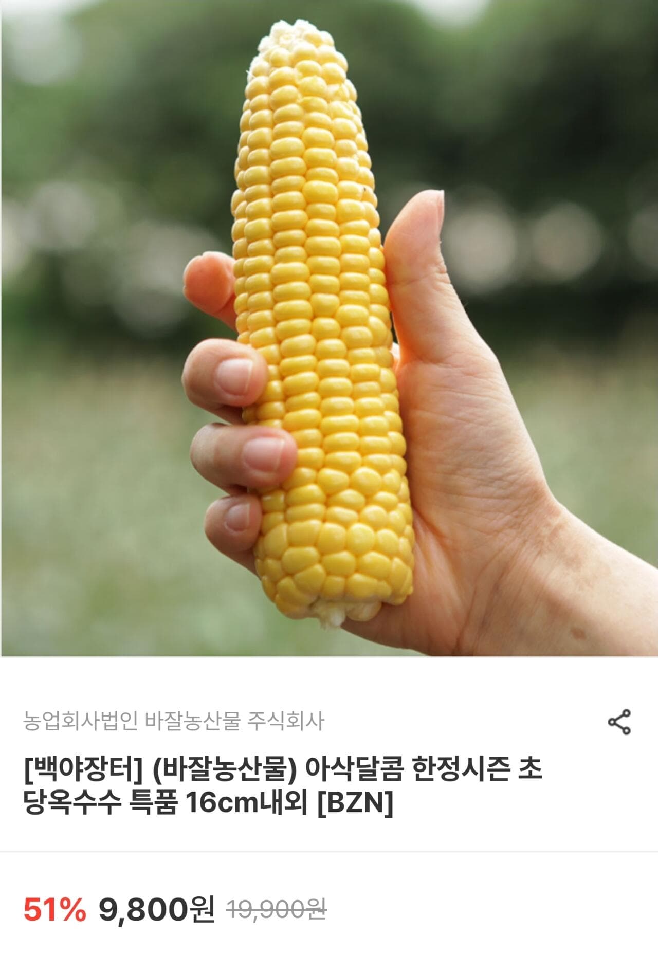 초당옥수수 10개