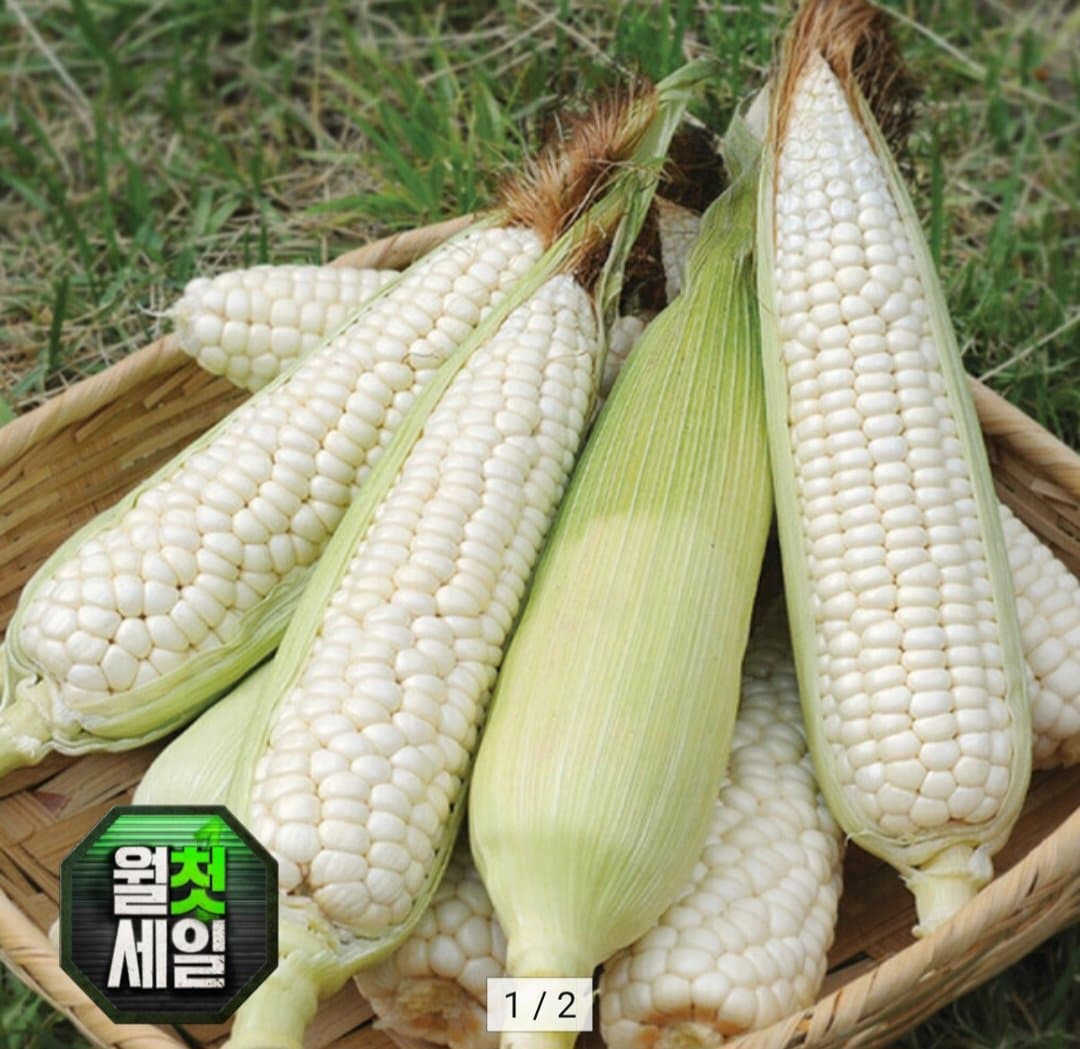 미백 찰옥수수 10개입