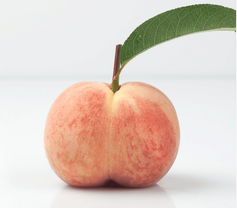 노지 대극천 복숭아 1kg