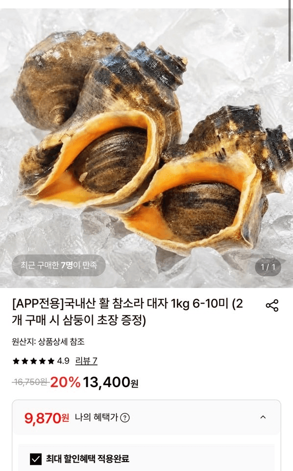 국내산 활 참소라 대자 1kg