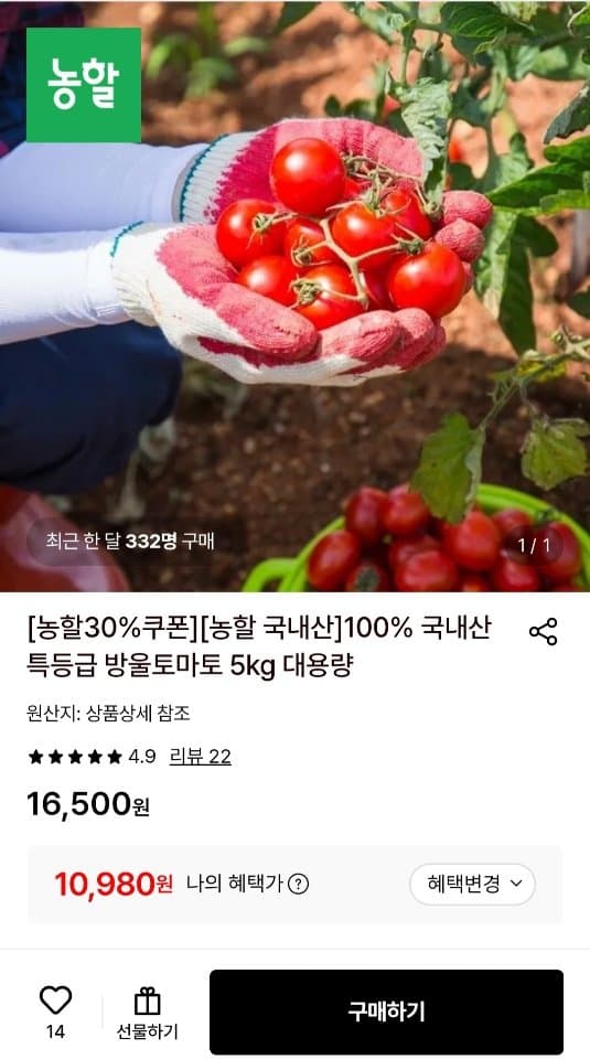 국내산 방울토마토 5kg