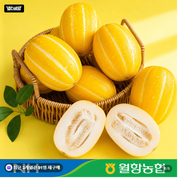 성주 꿀 참외 5kg