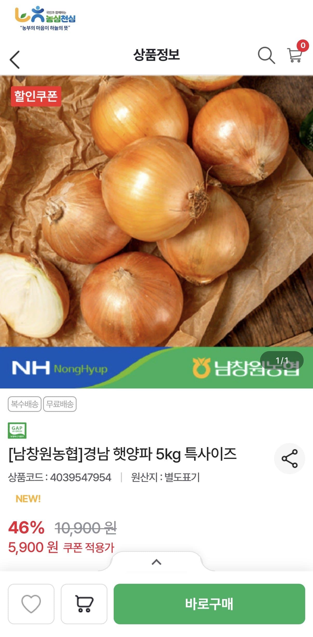 경남 햇양파 5kg