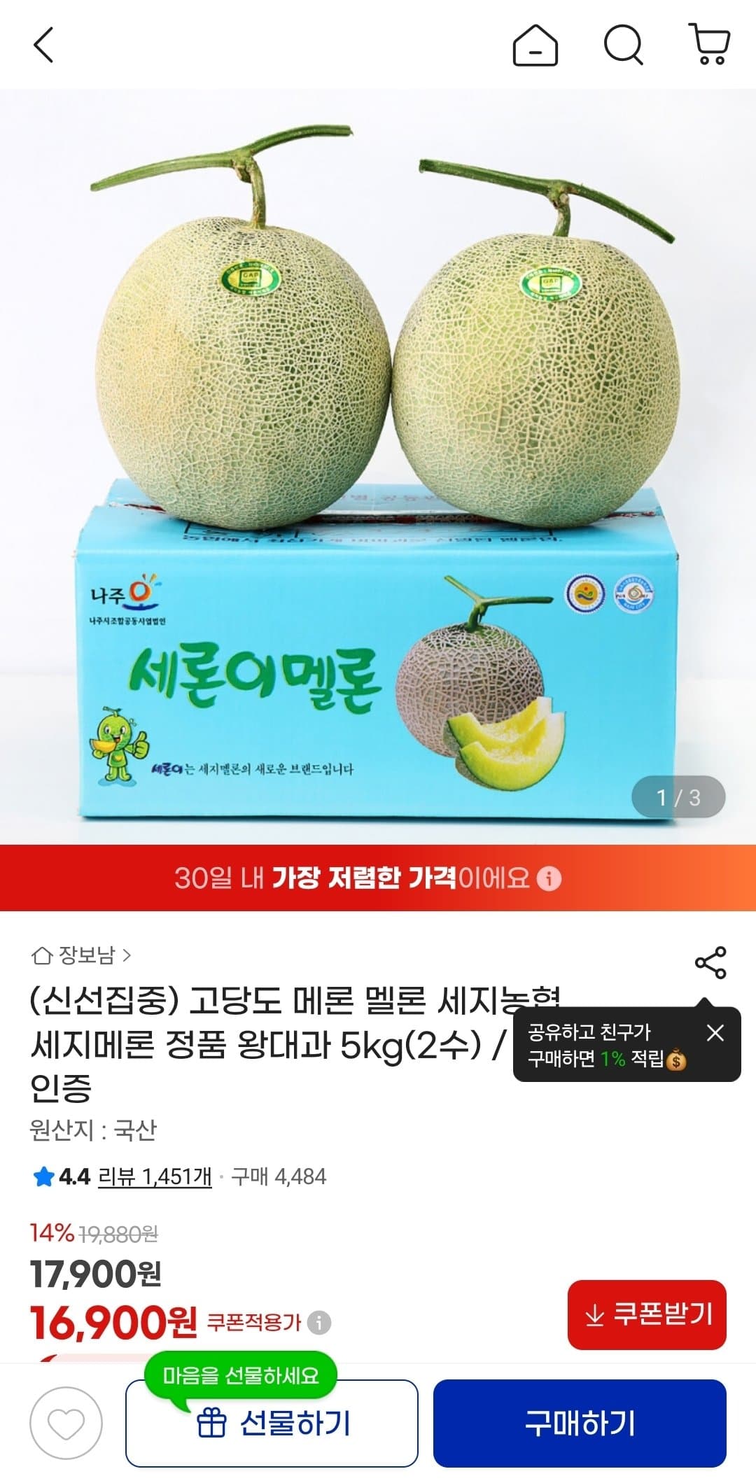 세지멜론 왕대과 5kg
