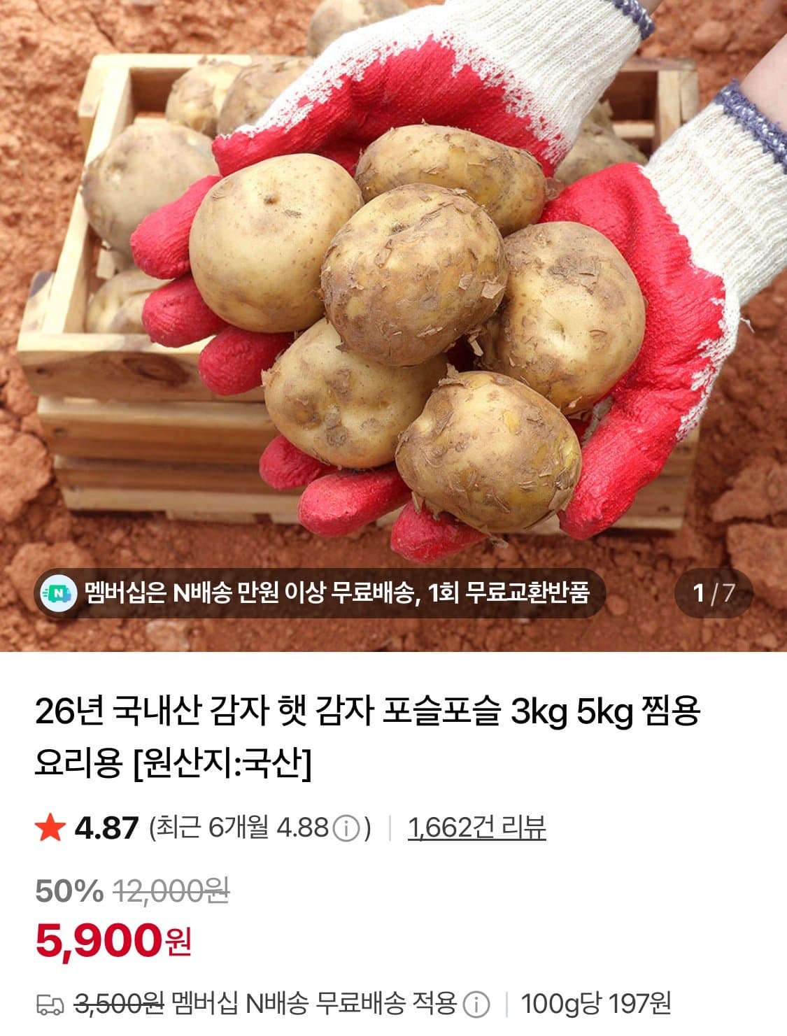 국내산 햇감자 왕특 3kg