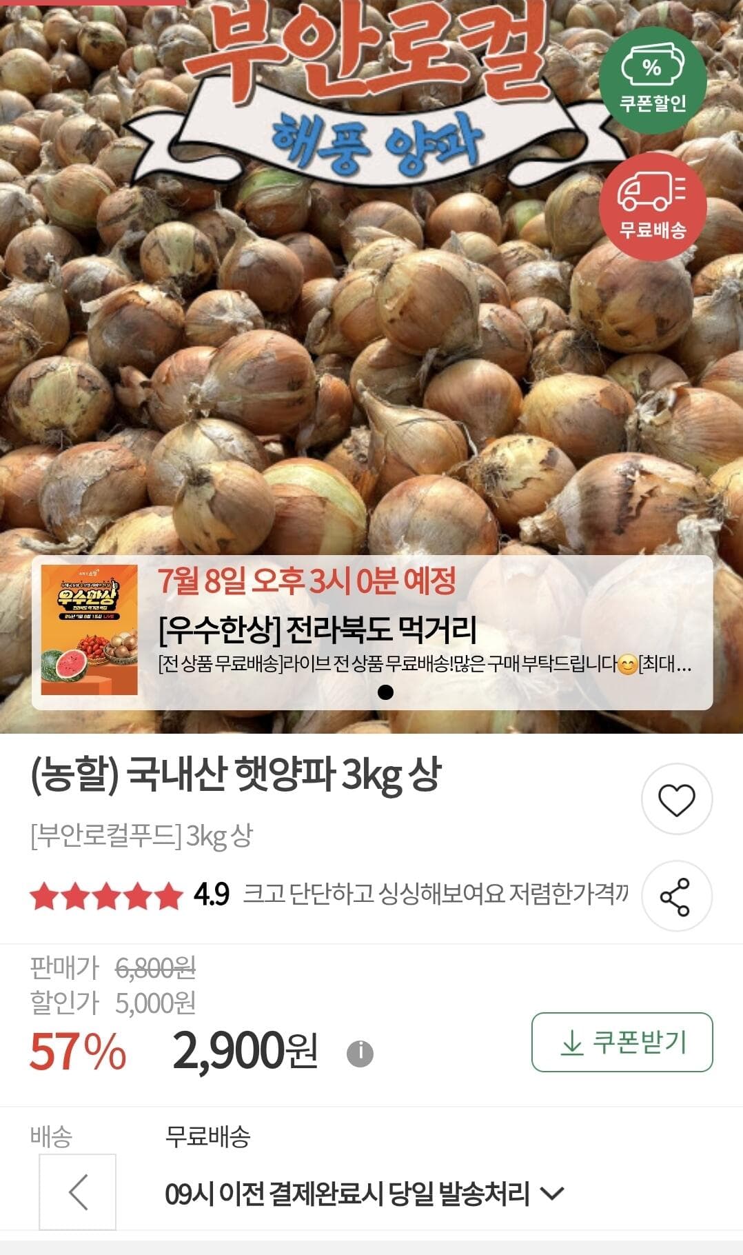 국내산 햇양파 3kg