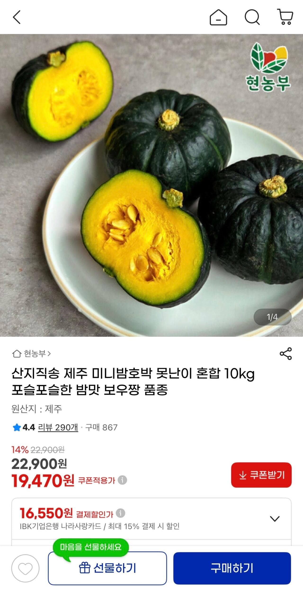 제주 미니밤호박 10kg