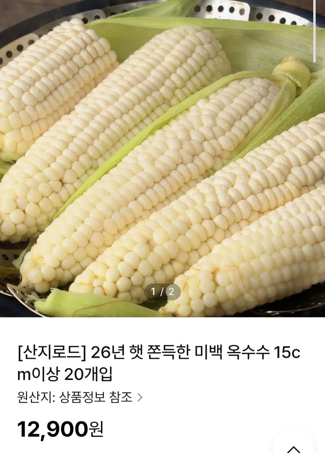 햇 미백 옥수수 20개