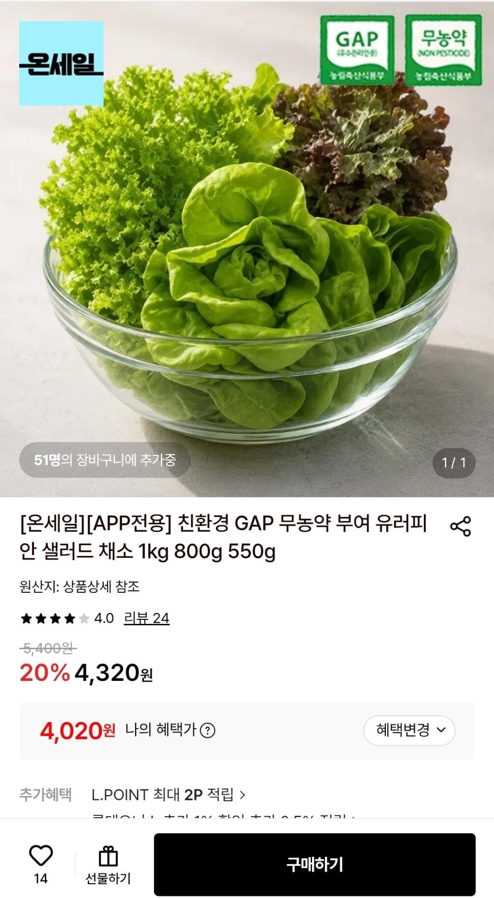 부여 유러피안 샐러드 채소 1kg