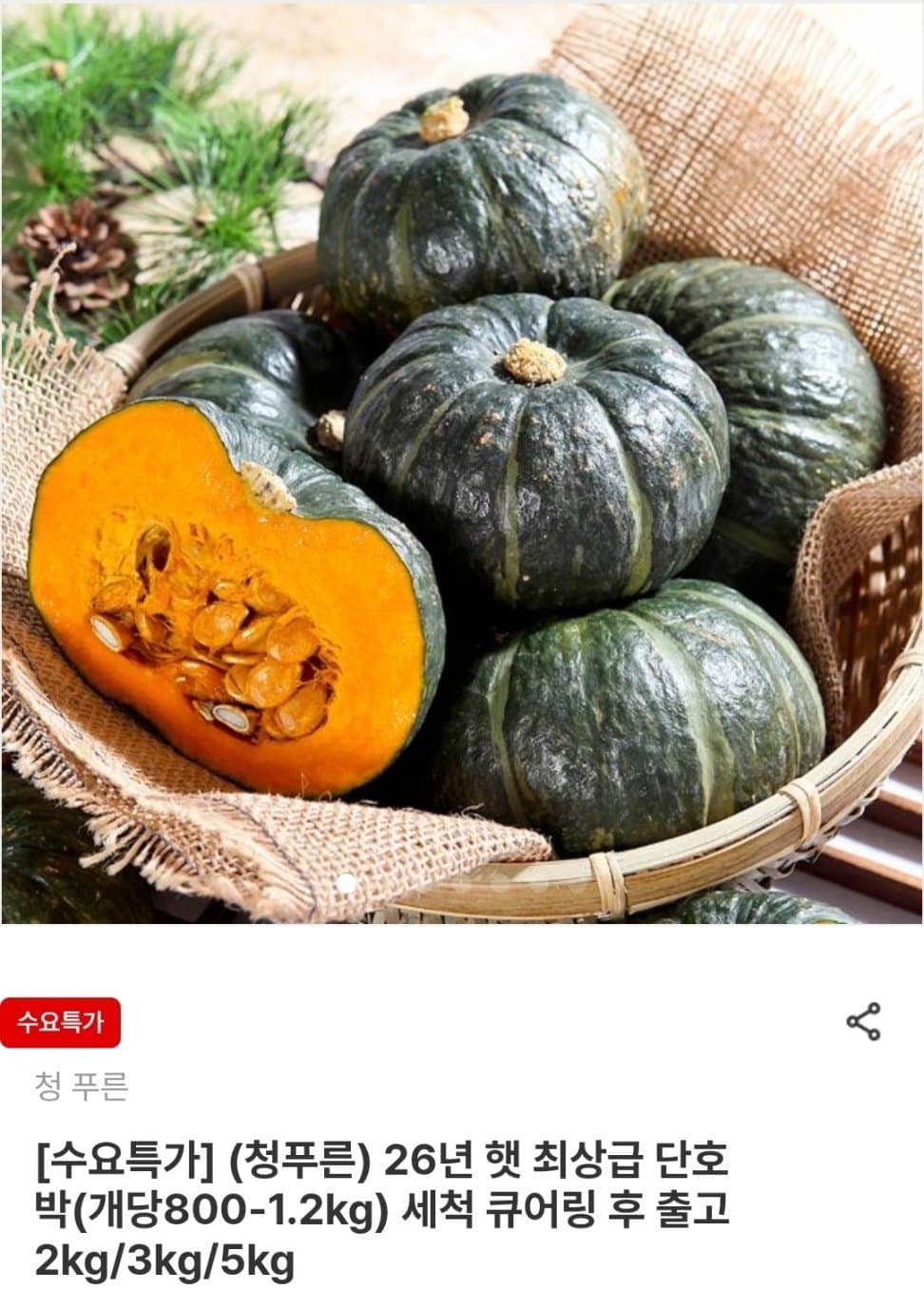 청푸른 햇 단호박 2kg 2개