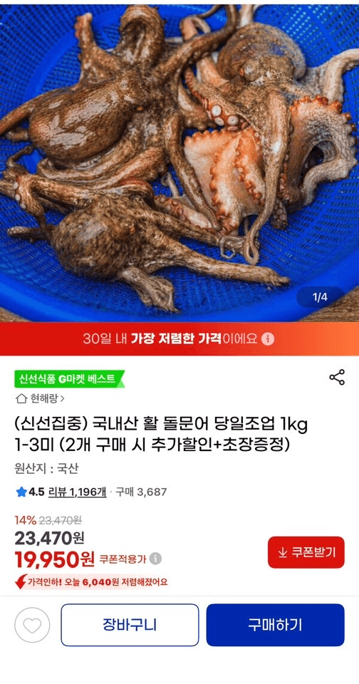 국내산 활 돌문어 1kg