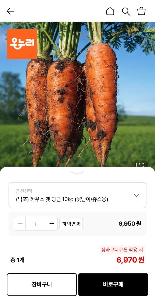 국내산 햇당근 10kg