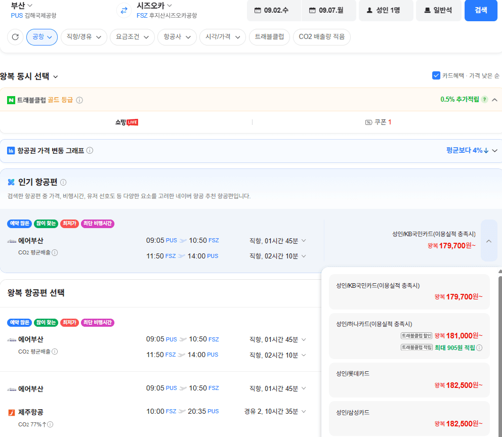 부산-시즈오카 왕복 항공권