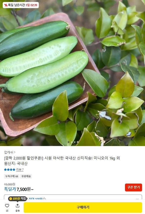 미니오이 특품 1kg