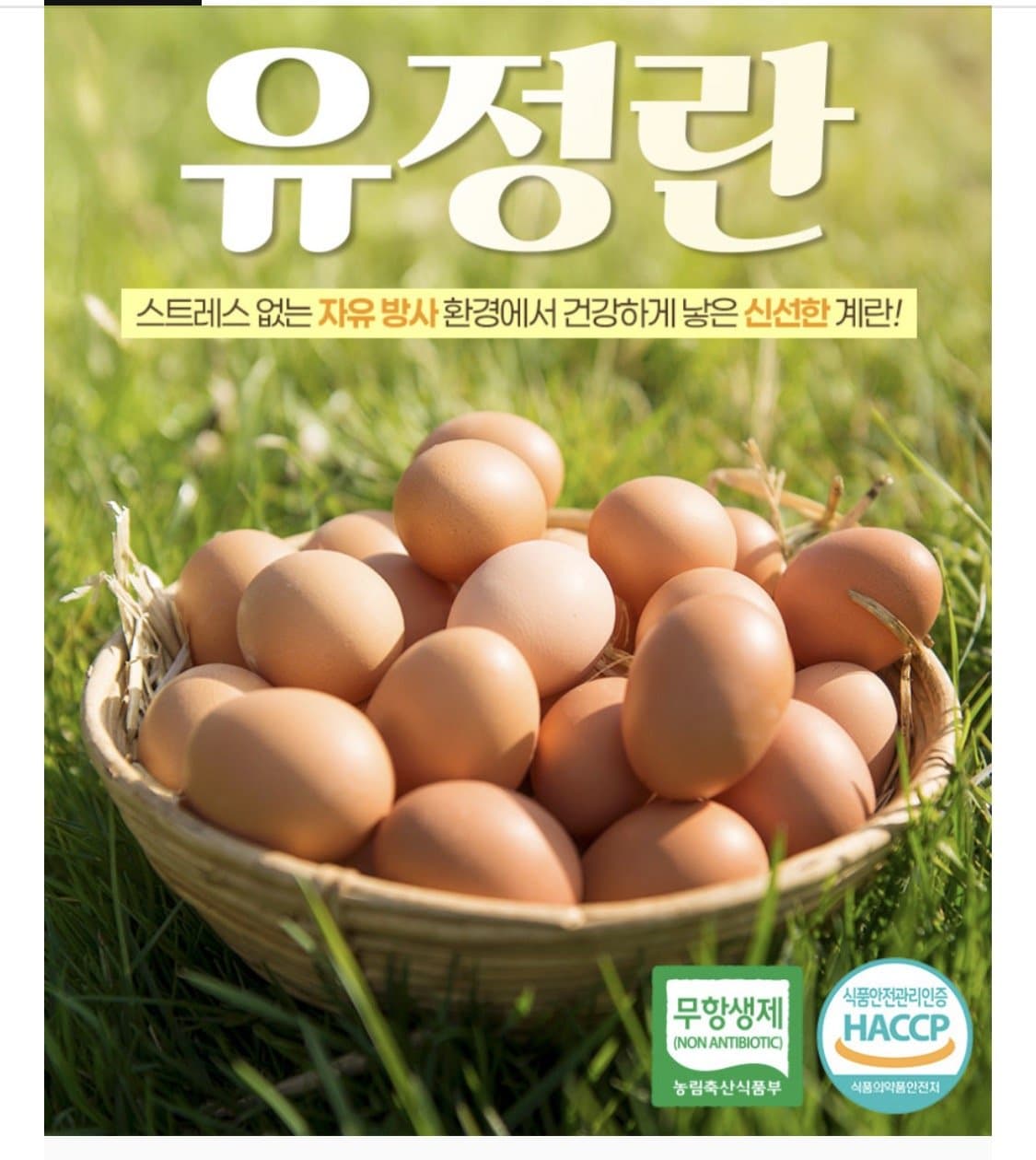 유정란 20구 2판