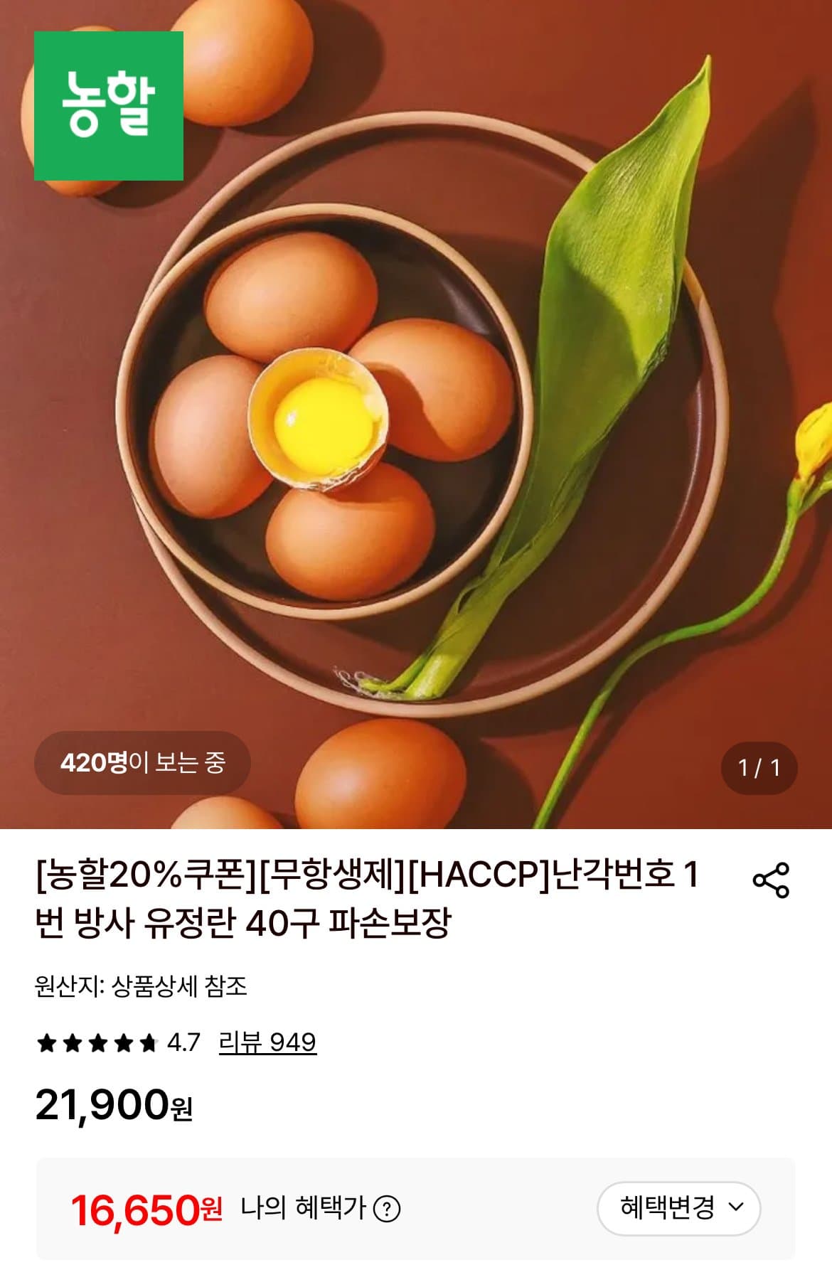 방사 유정란 40구