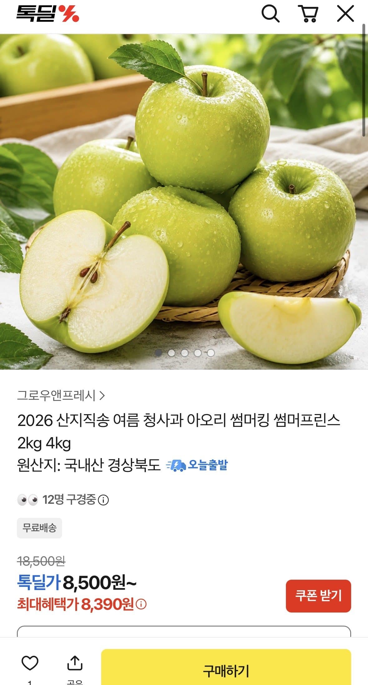 썸머킹 사과 2kg