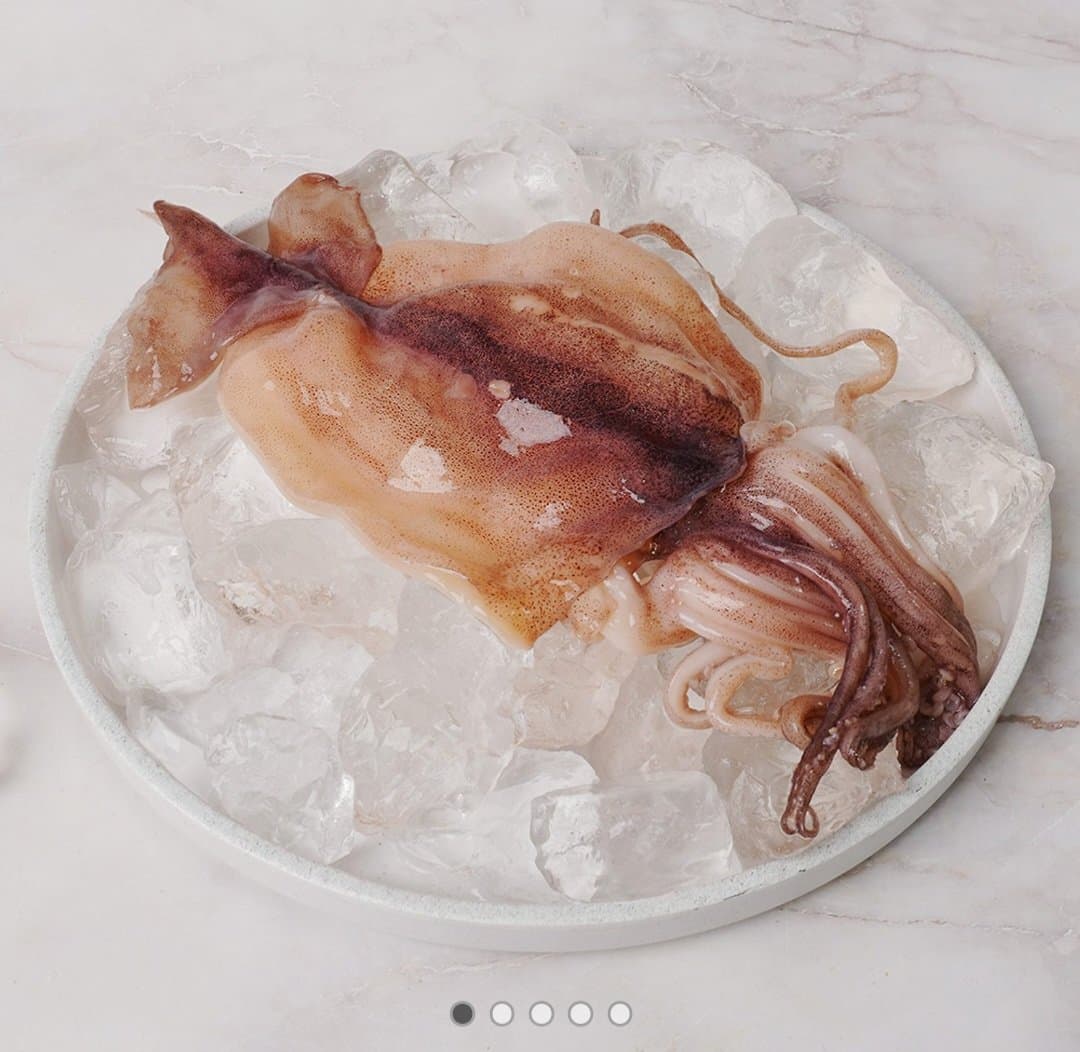 냉동오징어 볶음용 500g