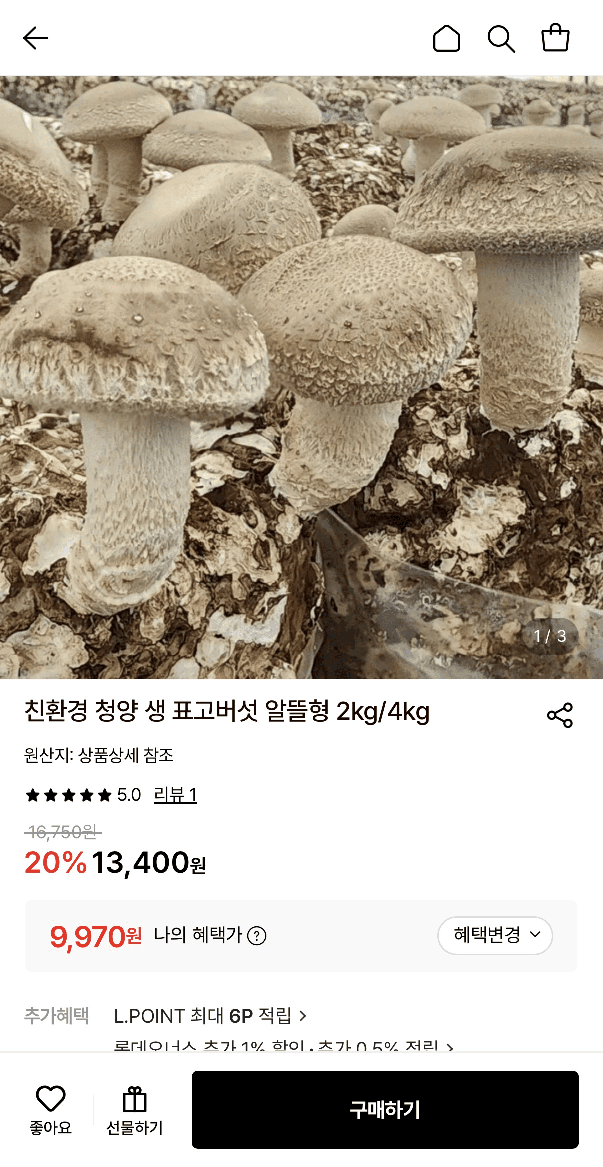 청양 생 표고버섯 알뜰형 2KG