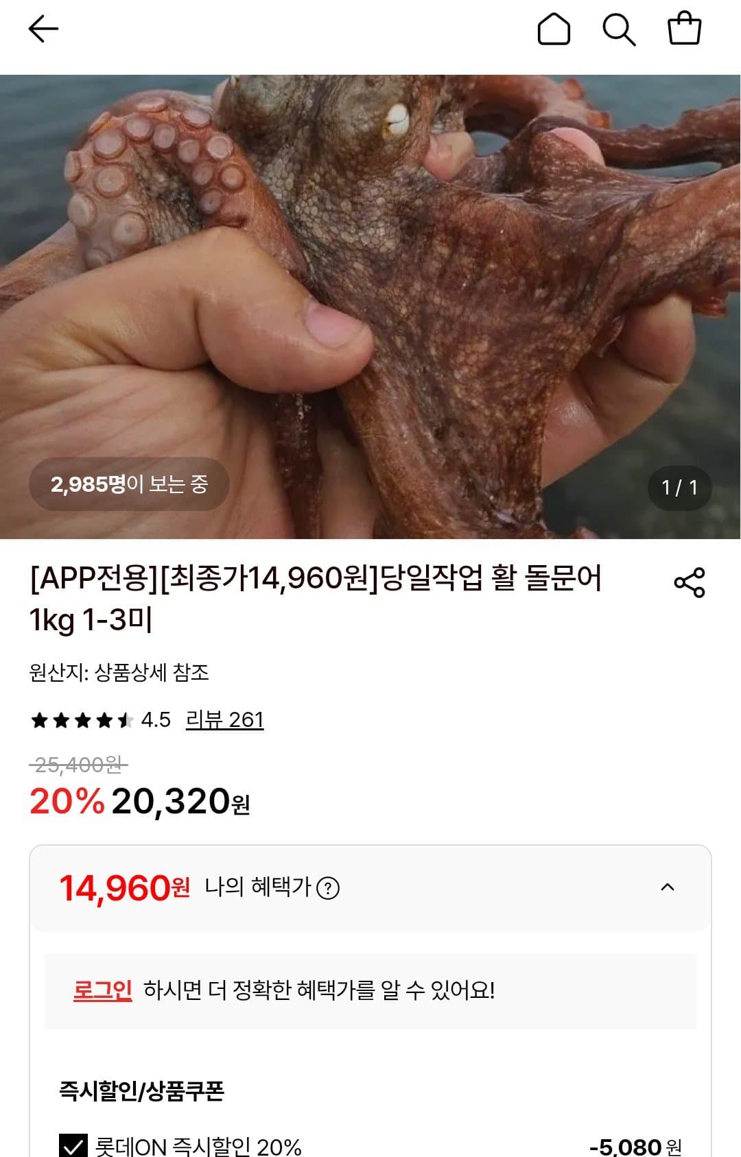 활 돌문어 1kg