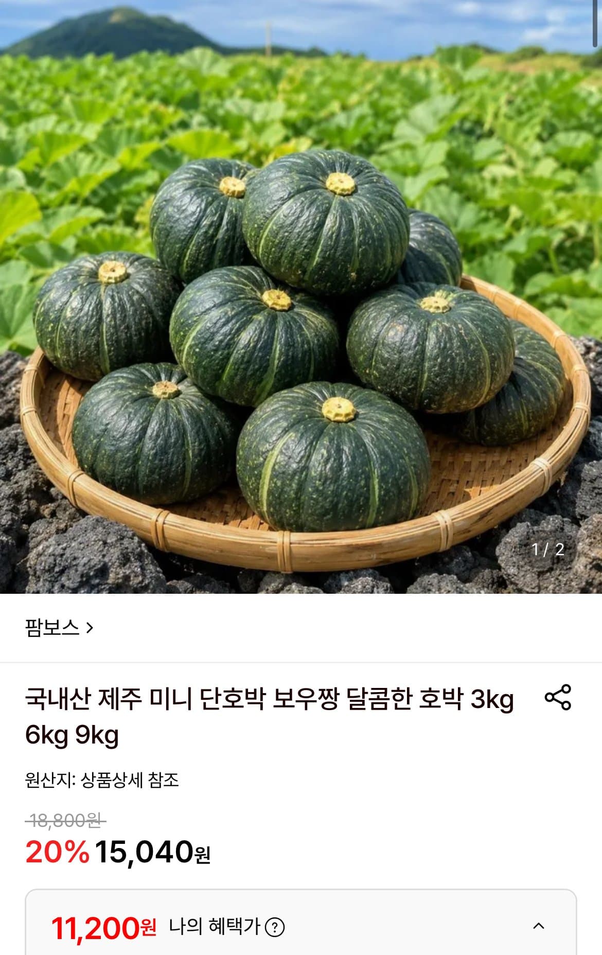 제주 미니 단호박 6kg