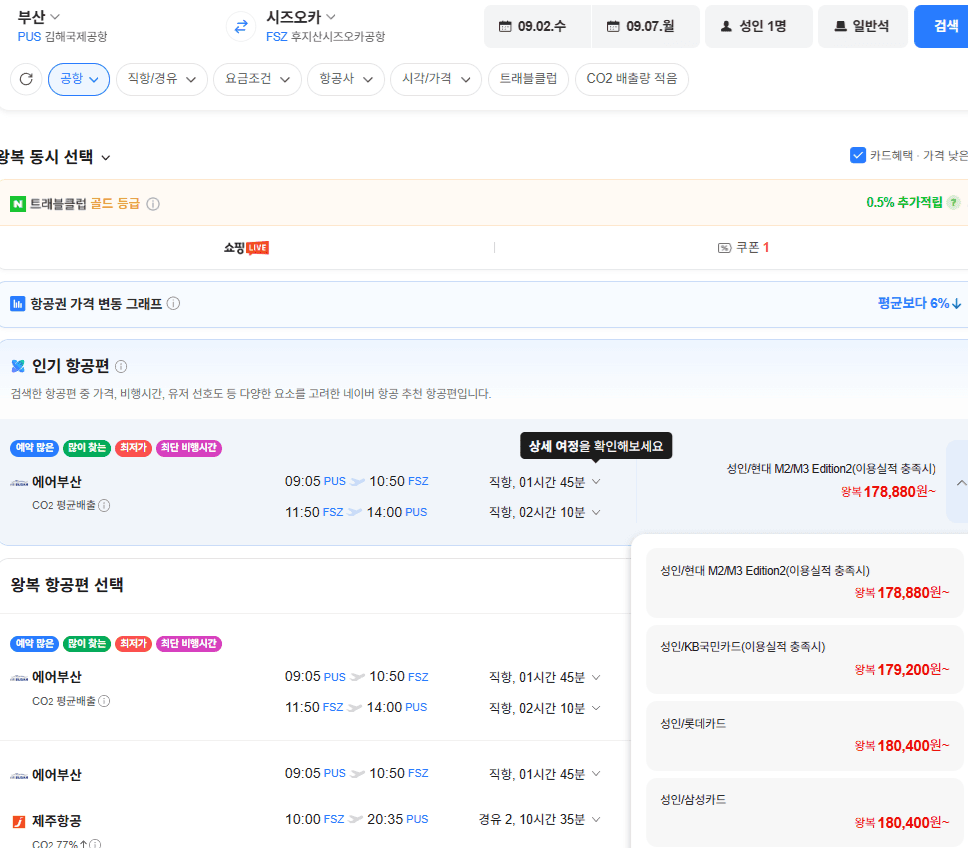 부산-시즈오카 왕복 항공권